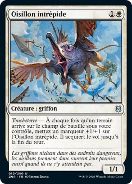 image ZNR_015/280 Oisillon intrépide