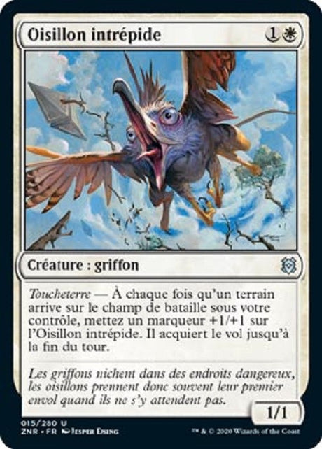 image ZNR_015/280 Oisillon intrépide