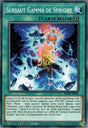 Sursaut Gamma de Spright - POTE-FR056 - Carte Yu-Gi-Oh!