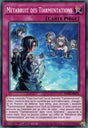 Métabruit des Tiarmentations - POTE-FR071 - Carte Yu-Gi-Oh!