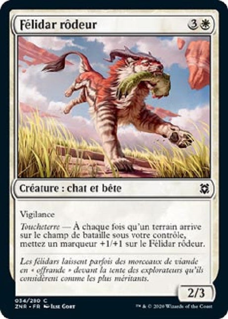 image ZNR_034/280 Félidar rôdeur