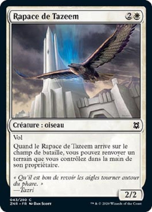 image ZNR_043/280 Rapace de Tazeem