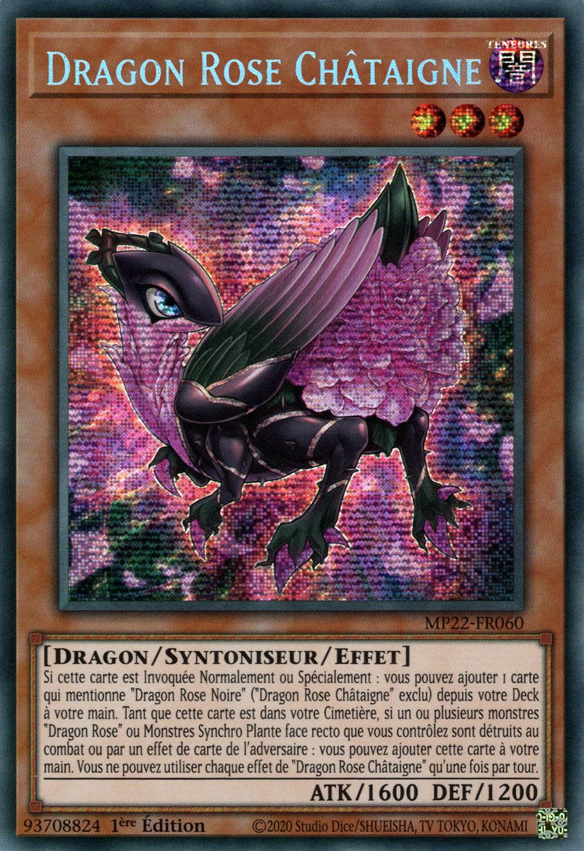 Dragon Rose Châtaigne - MP22-FR060
