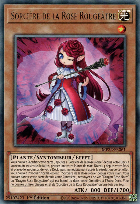 Sorcière de la Rose Rougeâtre - MP22-FR061