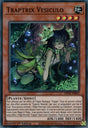 Traptrix Vesiculo - MP22-FR063