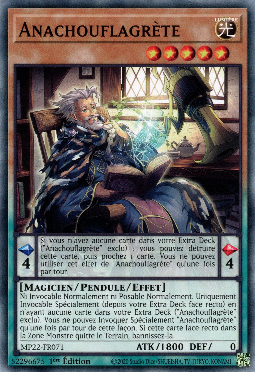 Anachouflagrète - MP22-FR071