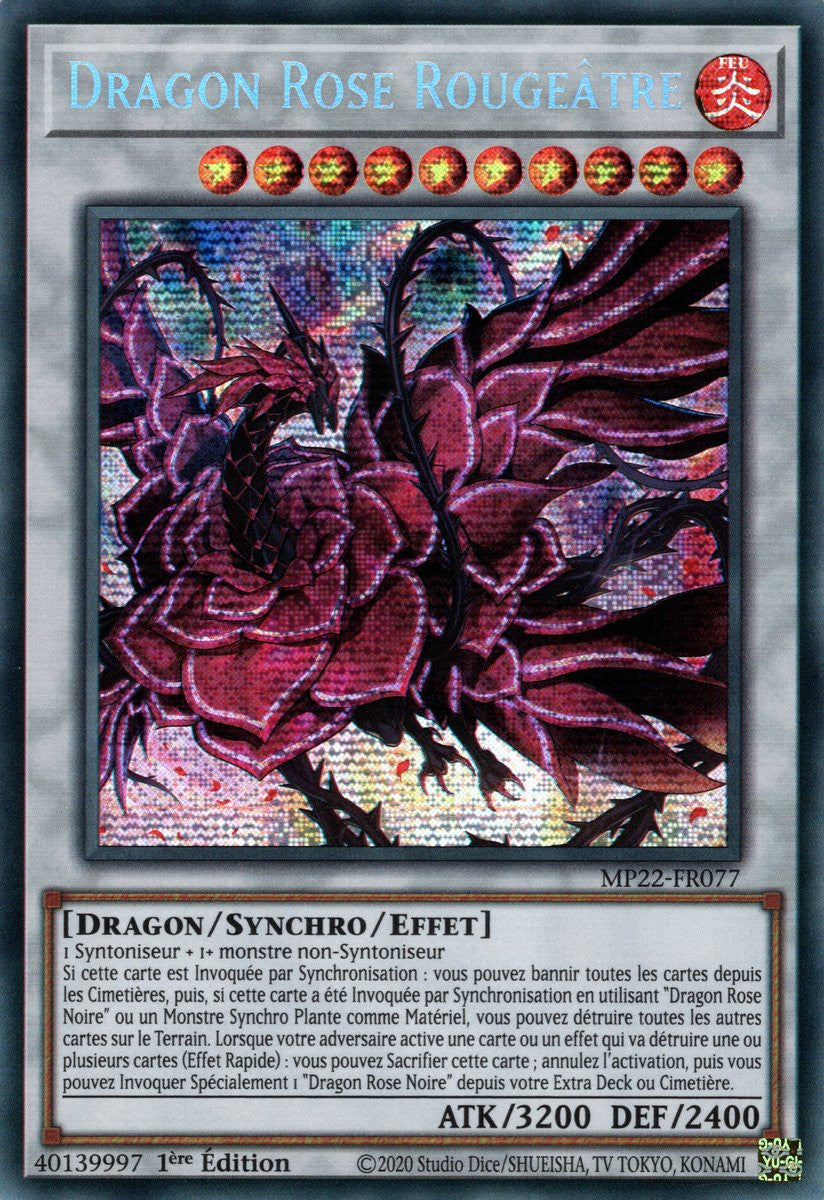 Dragon Rose Rougeâtre - MP22-FR077