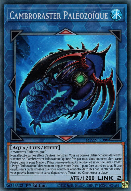 Cambroraster Paléozoïque - MP22-FR088