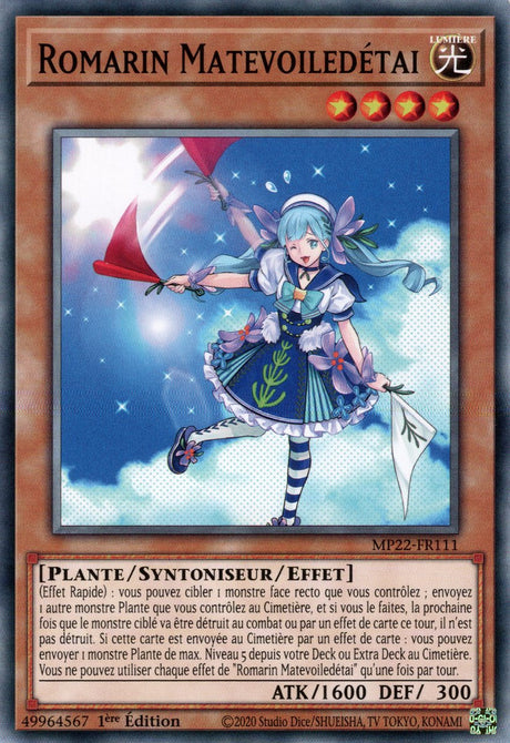 Romarin Matevoiledétai - MP22-FR111