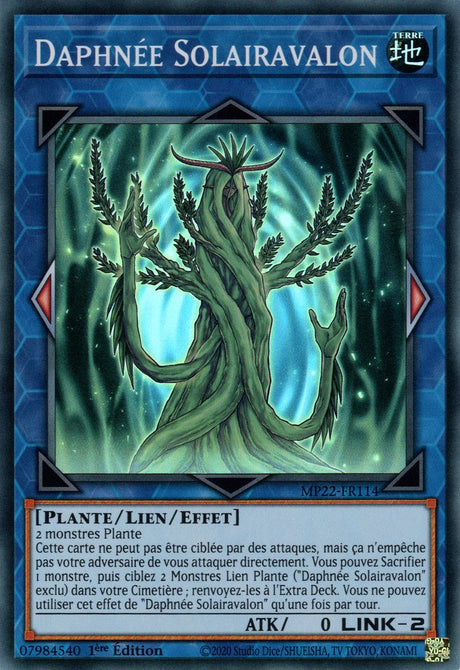 Daphnée Solairavalon - MP22-FR114