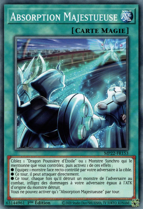 Absorption Majestueuse - MP22-FR153