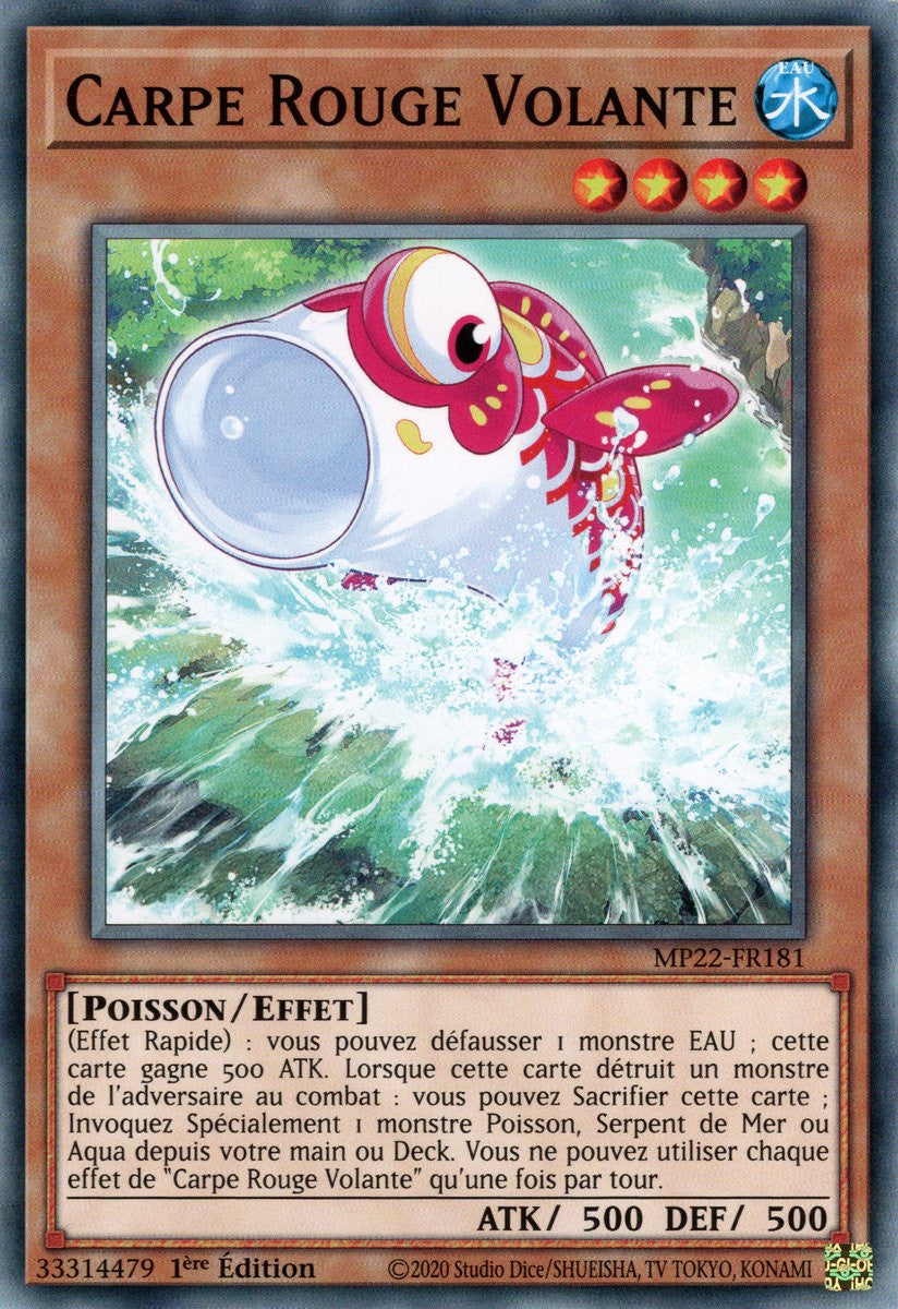 Carpe Rouge Volante - MP22-FR181