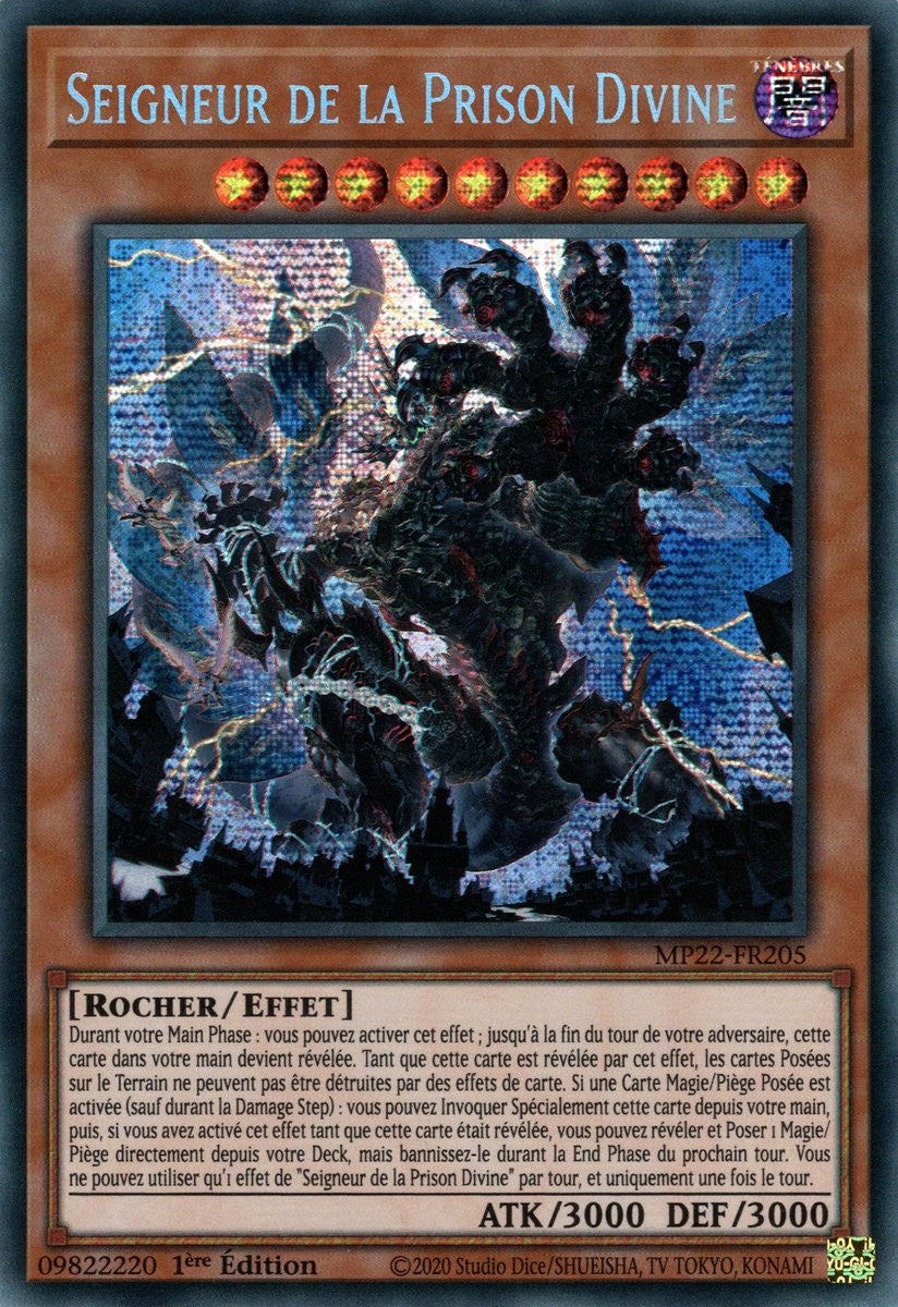 Seigneur de la Prison Divine - MP22-FR205
