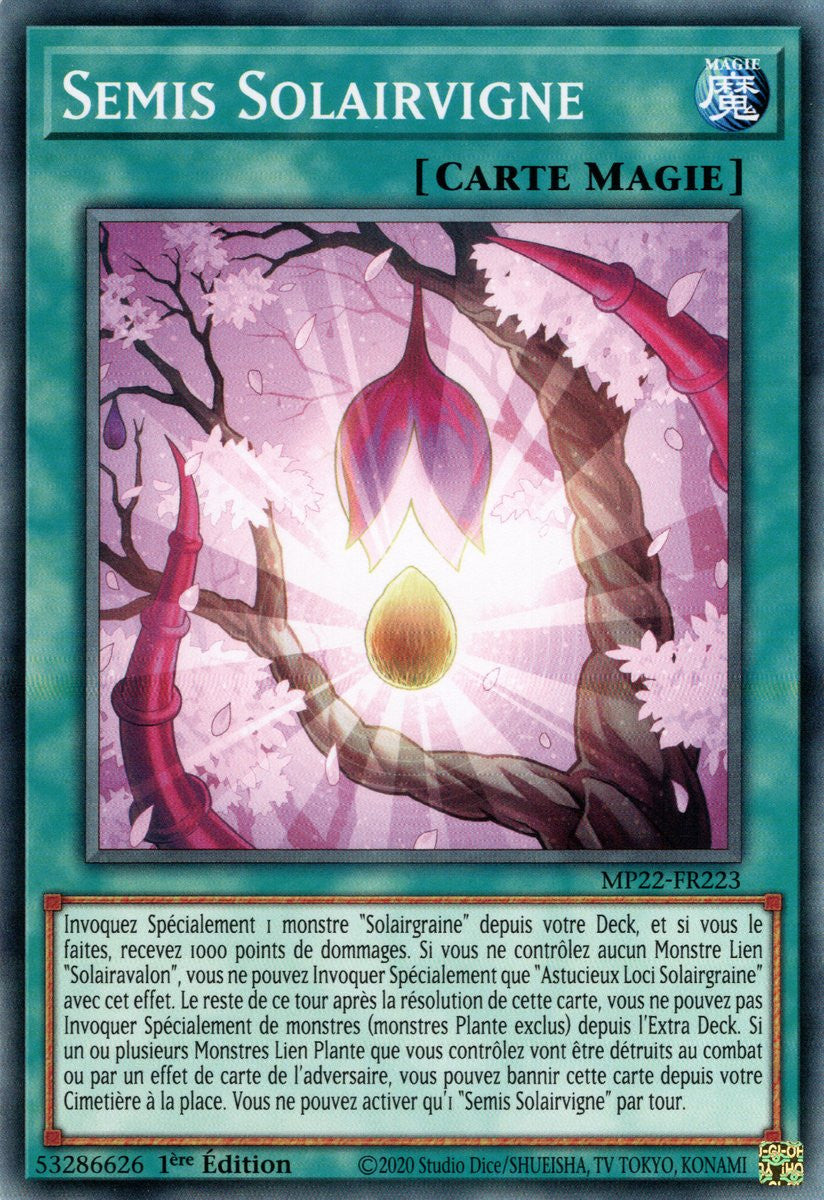 Semis Solairvigne - MP22-FR223