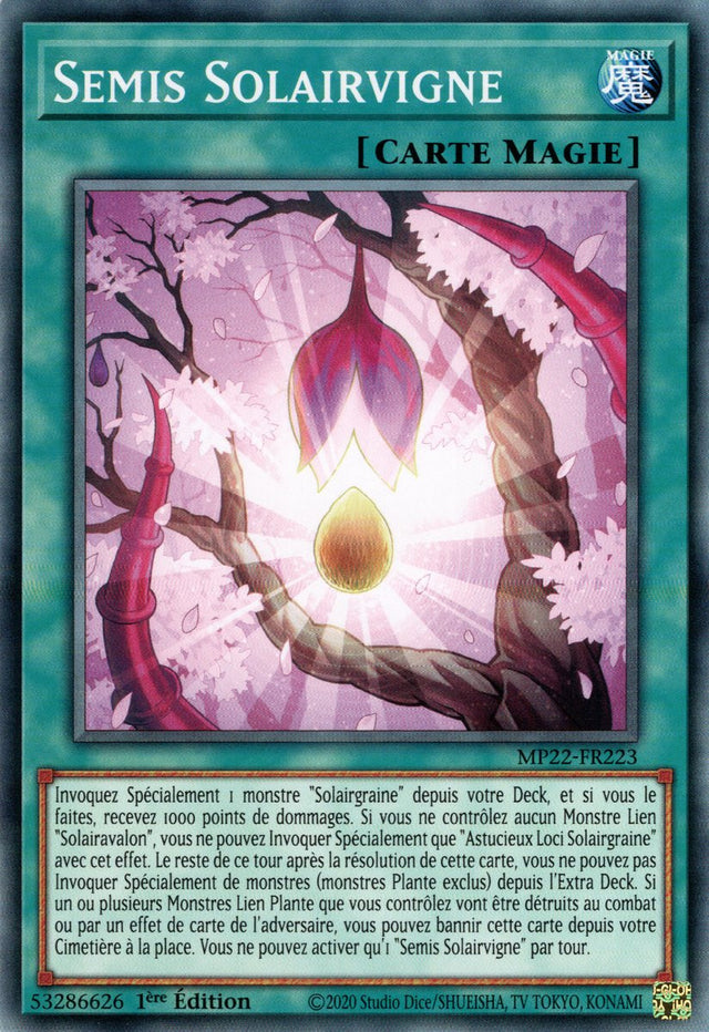 Semis Solairvigne - MP22-FR223