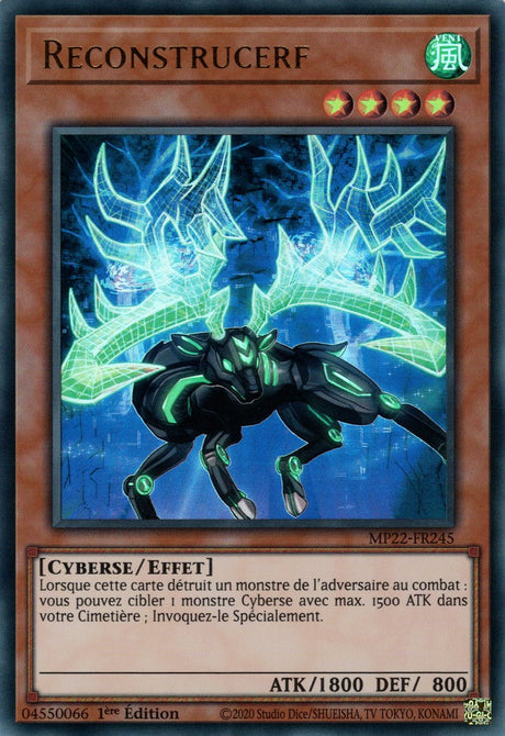 Reconstrucerf - MP22-FR245