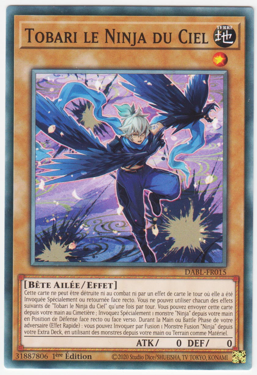 Tobari le Ninja du Ciel - DABL-FR015