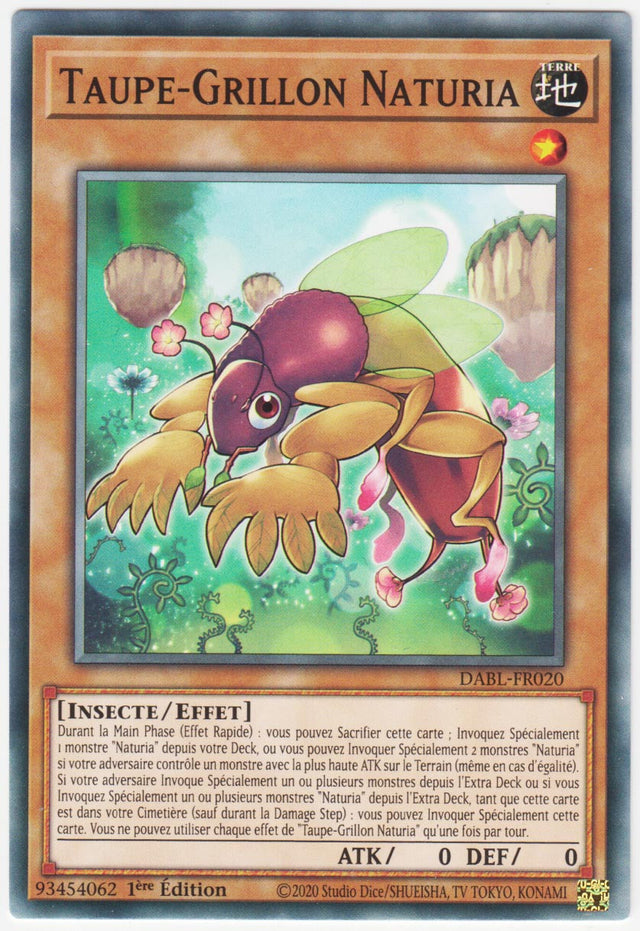 Taupe-Grillon Naturia - DABL-FR020