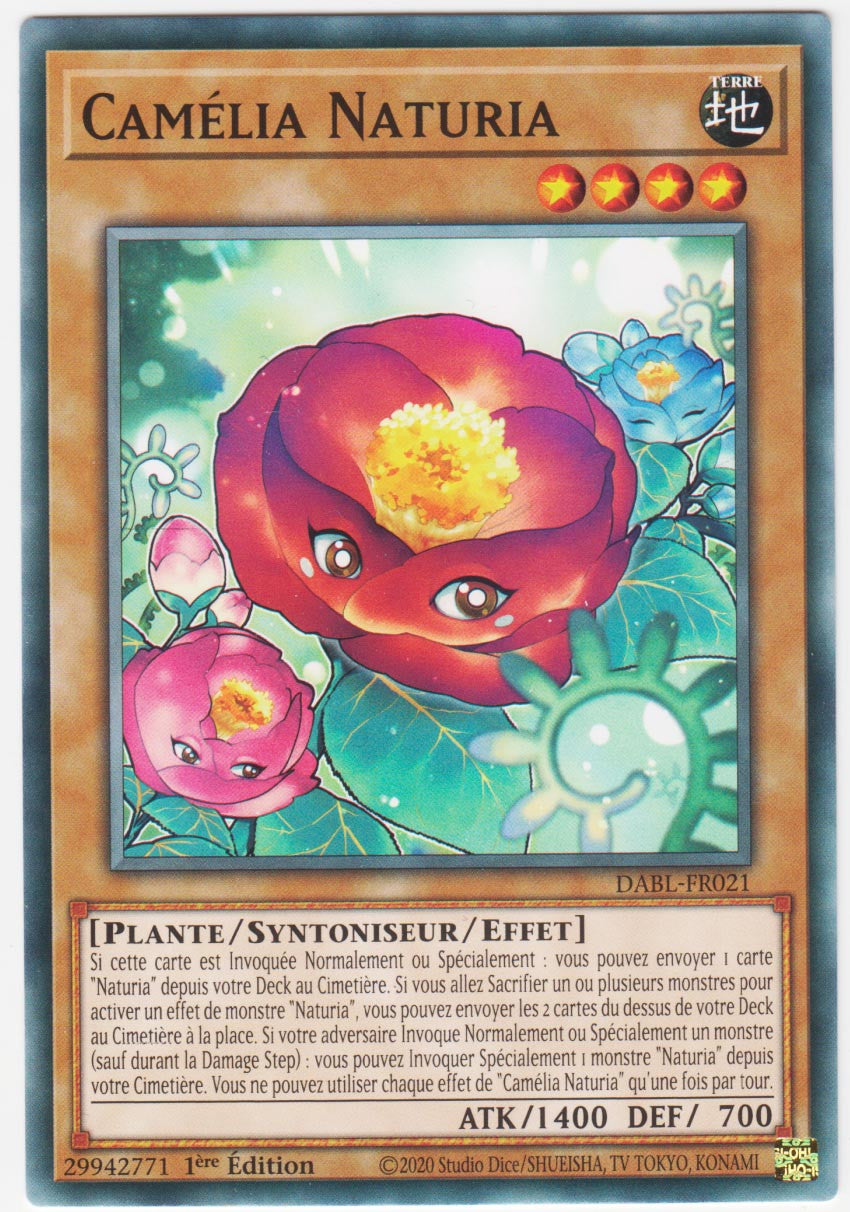 Camélia Naturia - DABL-FR021