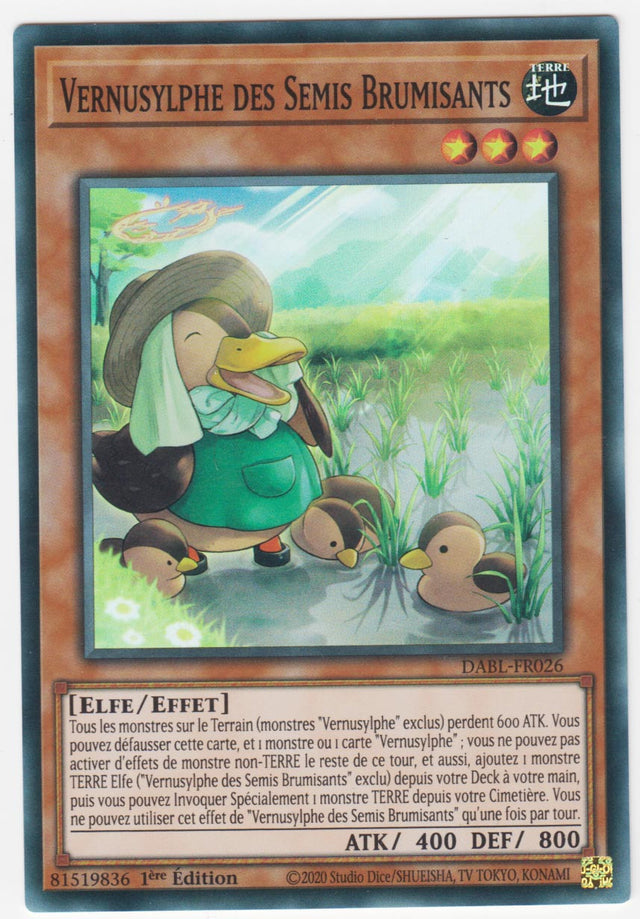 Vernusylphe des Semis Brumisants - DABL-FR026