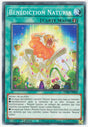 Bénédiction Naturia - DABL-FR064