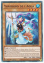 Yorishiro de l'Aqua - DABL-FR092