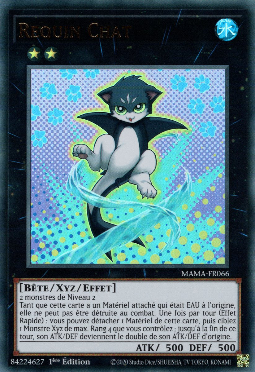 Requin Chat - MAMA-FR066