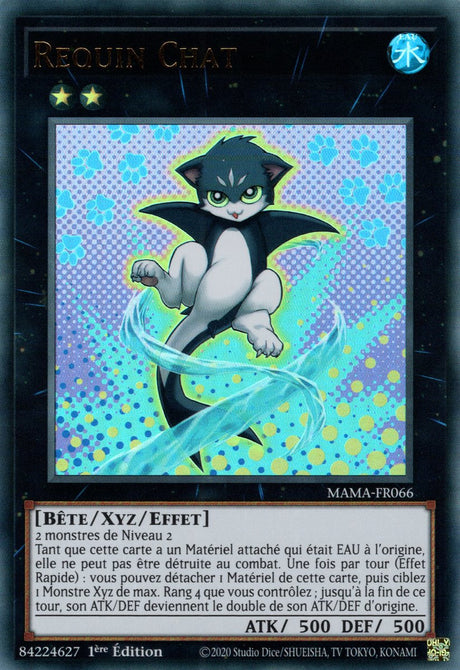 Requin Chat - MAMA-FR066