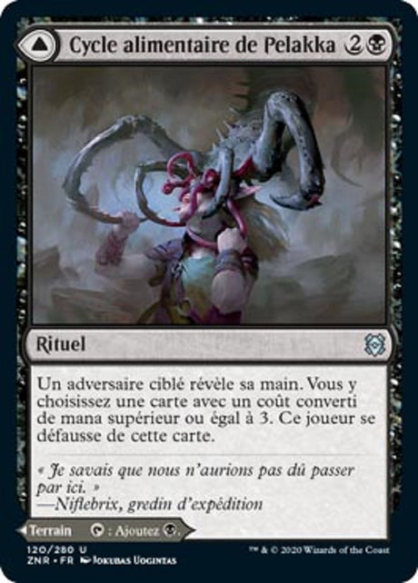 image ZNR_119/280 Cycle alimentaire de Pelakka // Cavernes de Pelakka