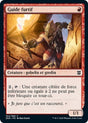 image ZNR_164/280 Guide furtif