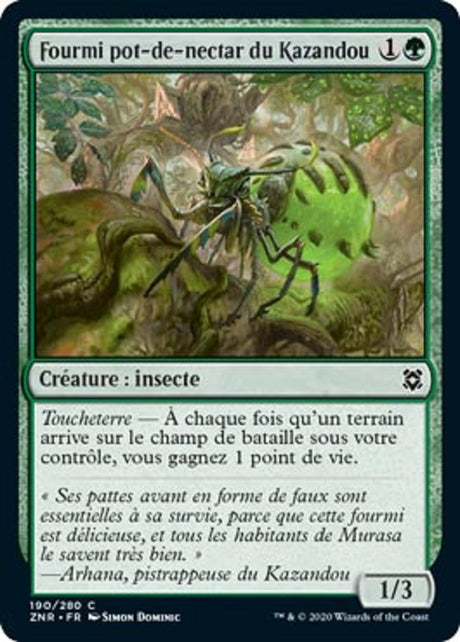 image ZNR_190/280 Fourmi pot-de-nectar du Kazandou