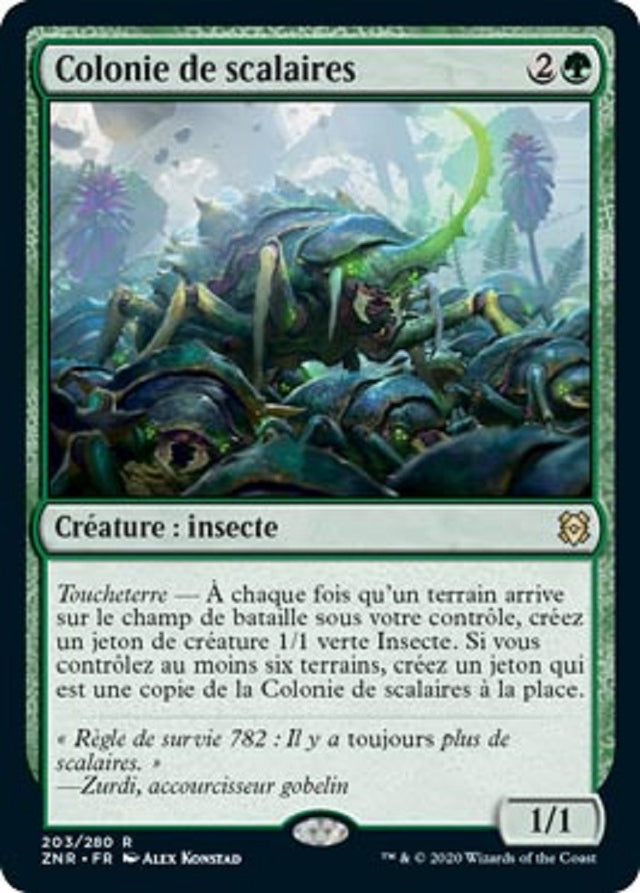 image ZNR_203/280 Colonie de scalaires