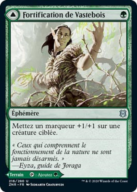 image ZNR_216/280 Fortification de Vastebois // Halliers de Vastebois