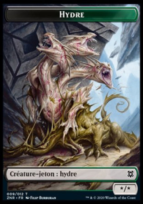 image ZNR_009/012 Hydre