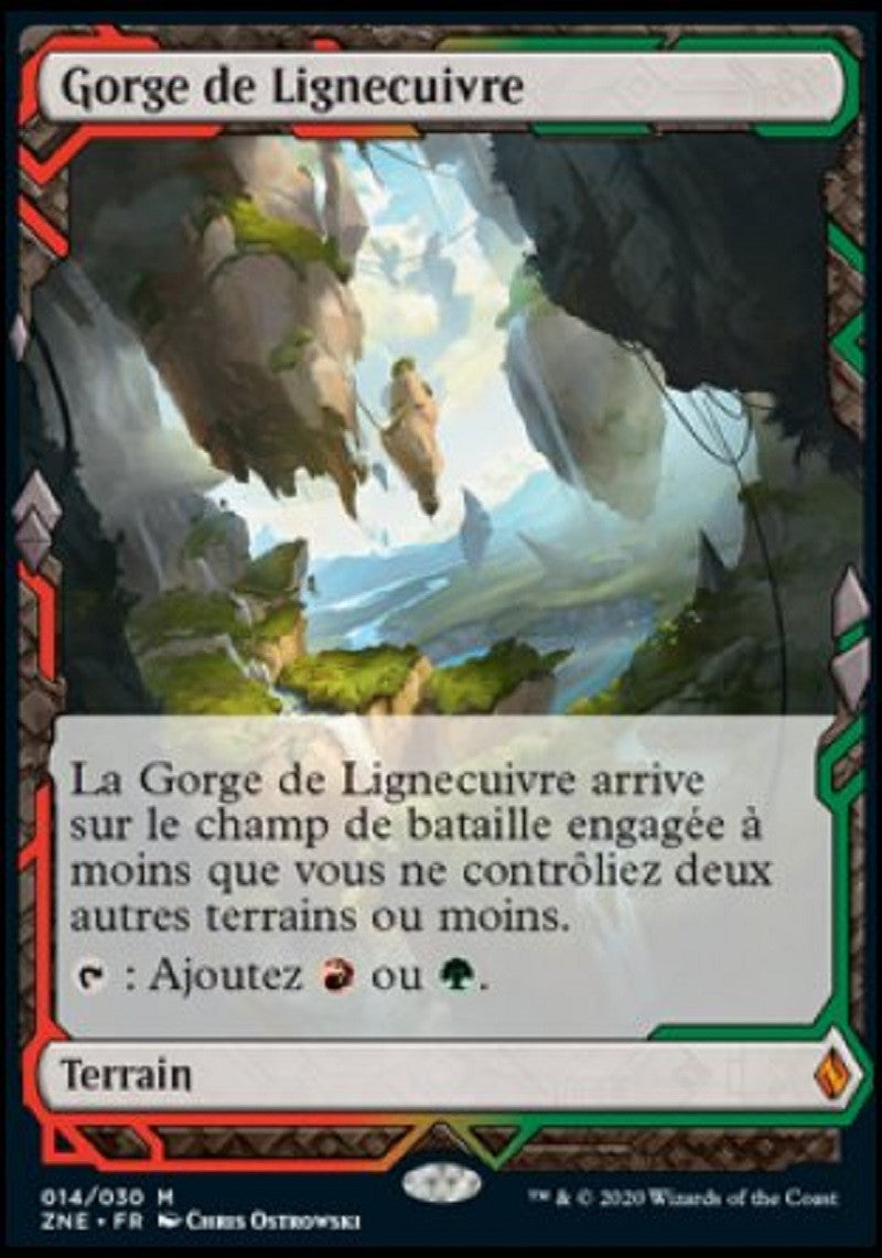 image ZNE_014/030 Gorge de Lignecuivre (Expedition)