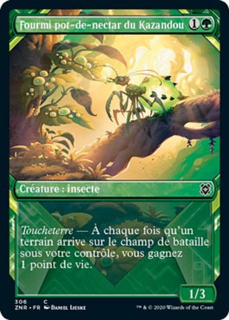 image ZNR_306/280 Fourmi pot-de-nectar du Kazandou (Showcase)