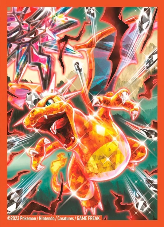 Pokémon TCG - Paquet de 65 Protège-cartes Standard - Dracaufeu ex