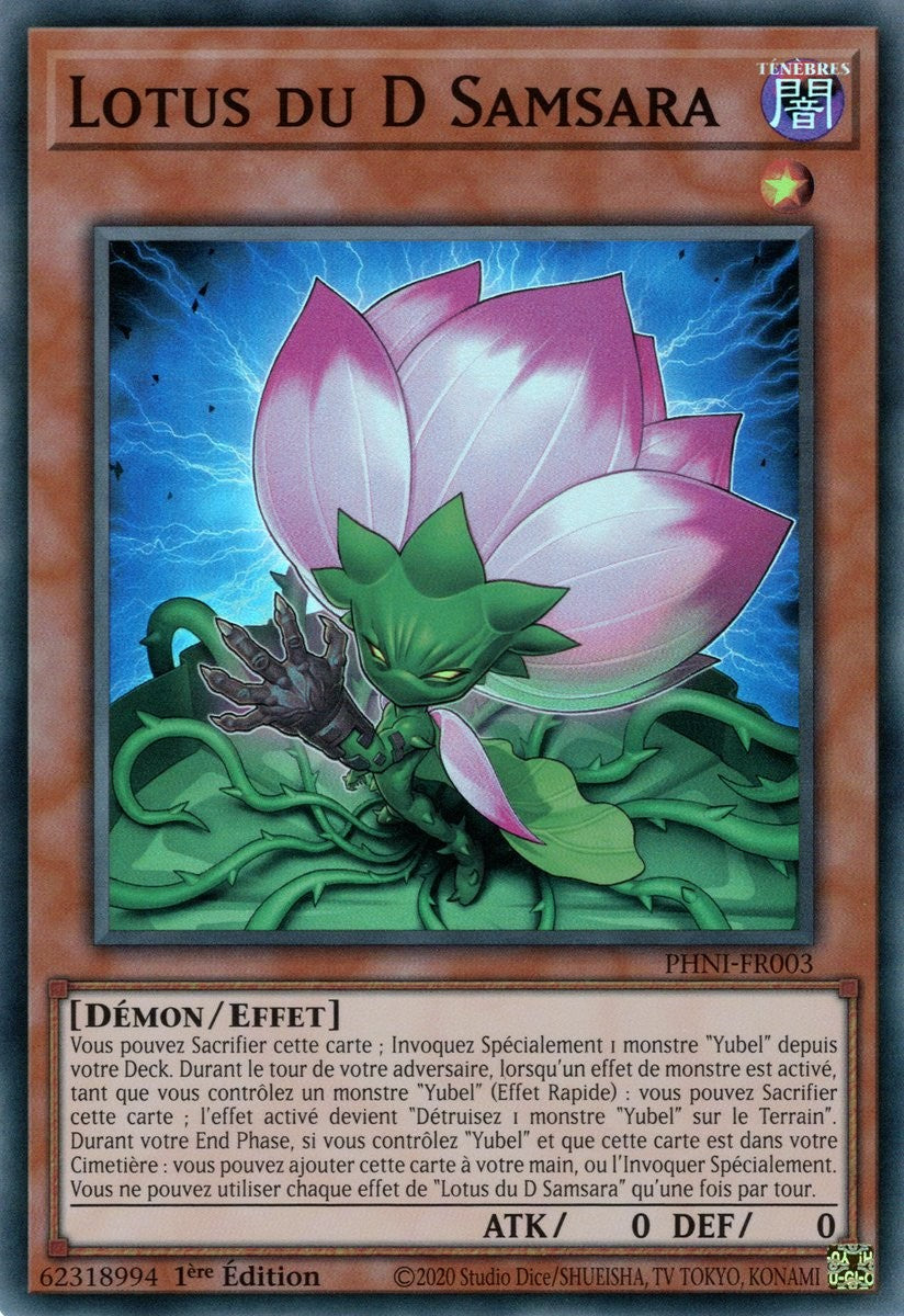 Lotus du D Samsara - PHNI-FR003