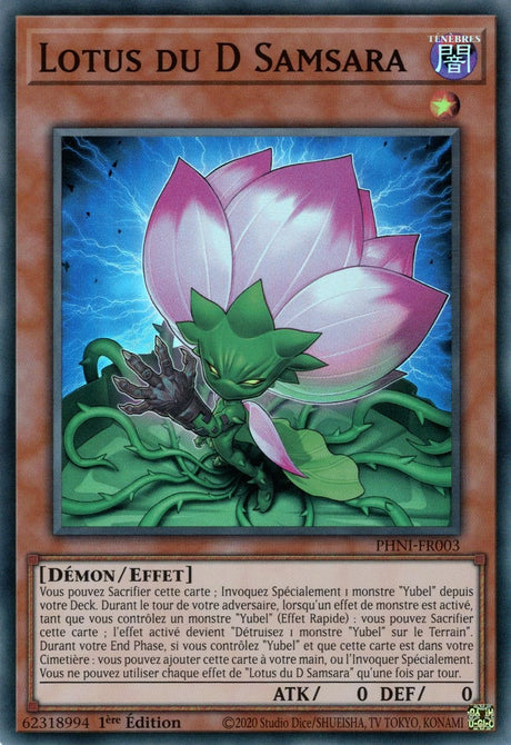 Lotus du D Samsara - PHNI-FR003