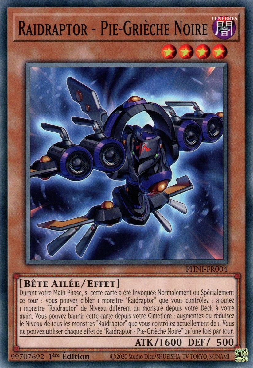 Raidraptor - Pie-Grièche Noire - PHNI-FR004