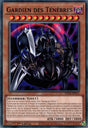Gardien des Ténèbres - PHNI-FR013