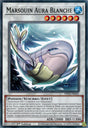 Marsouin Aura Blanche - PHNI-FR041