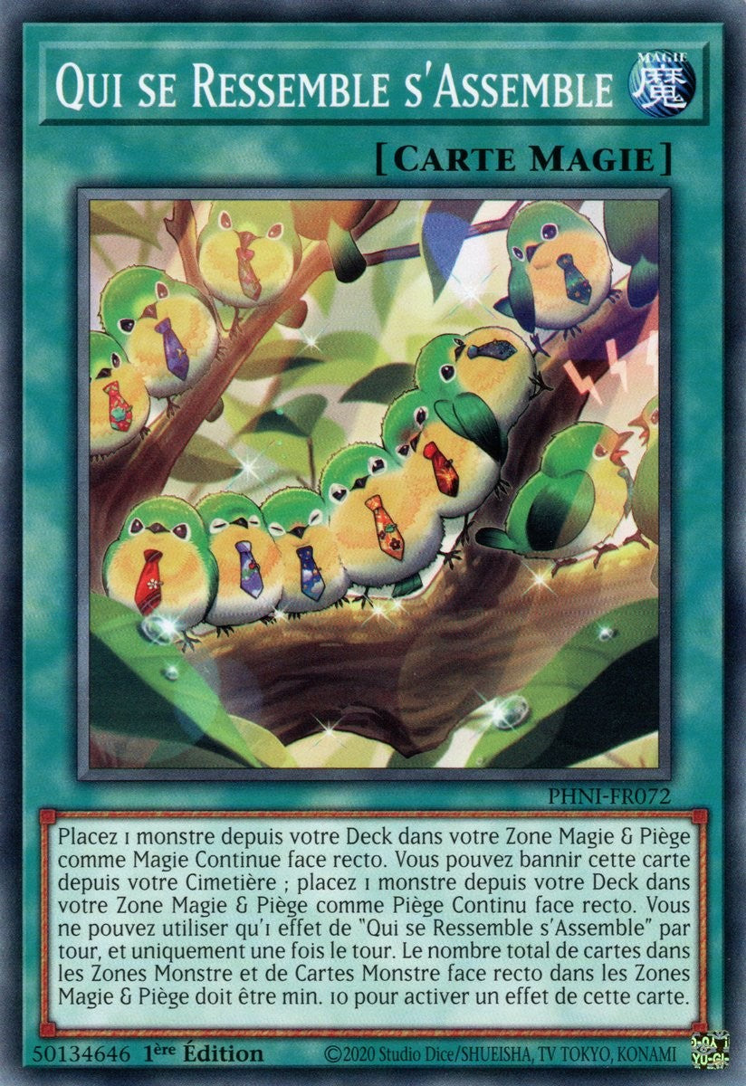 Qui se Ressemble s'Assemble - PHNI-FR072