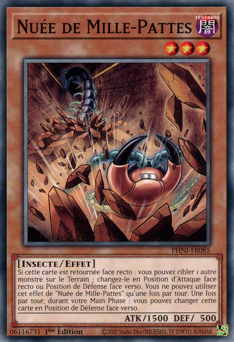 Nuée de Mille-Pattes - PHNI-FR085