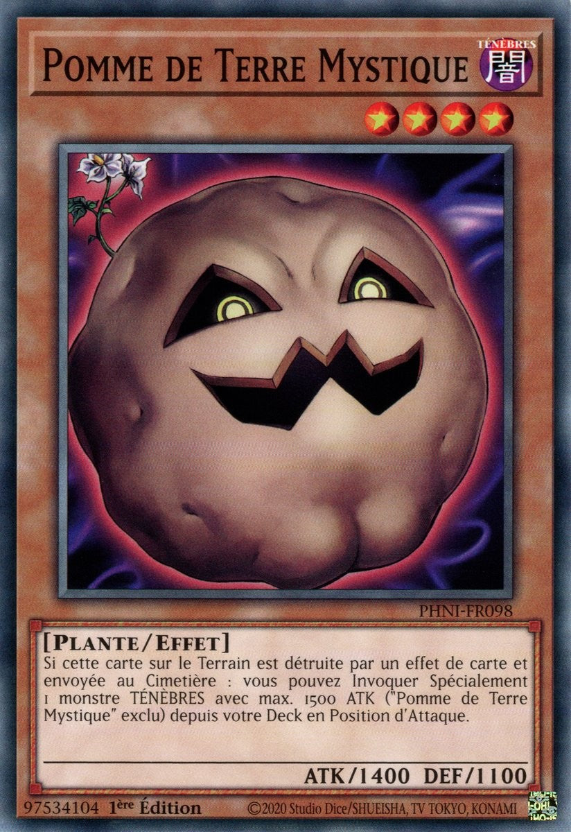 Pomme de Terre Mystique - PHNI-FR098