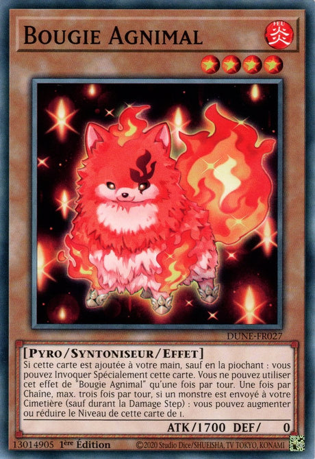 Bougie Agnimal - DUNE-FR027