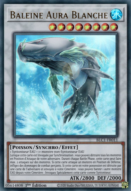 Baleine Aura Blanche - BLC1-FR011 (Doré)