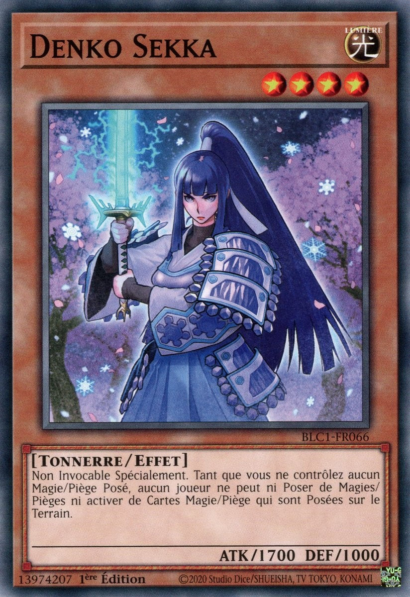 Denko Sekka - BLC1-FR066