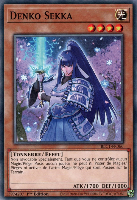 Denko Sekka - BLC1-FR066