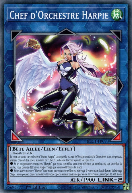 Chef d'Orchestre Harpie - BLC1-FR093